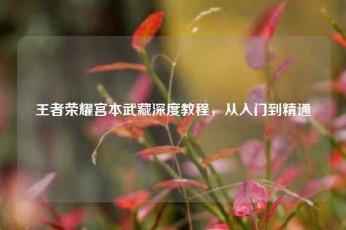 王者荣耀宫本武藏深度教程，从入门到精通