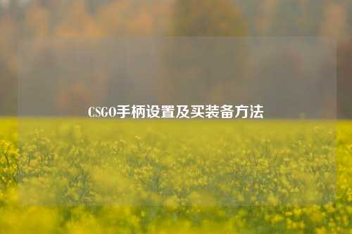 CSGO手柄设置及买装备方法