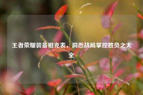 王者荣耀装备相克表，洞悉战局掌控胜负之大全