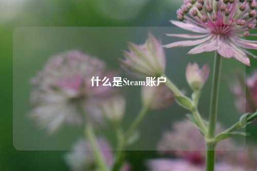 什么是Steam账户