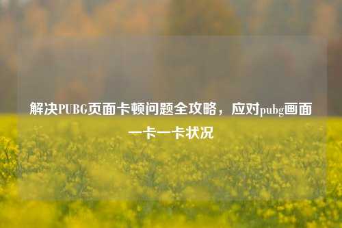 解决PUBG页面卡顿问题全攻略,应对pubg画面一卡一卡状况
