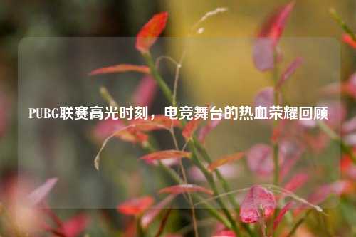 PUBG联赛高光时刻,电竞舞台的热血荣耀回顾