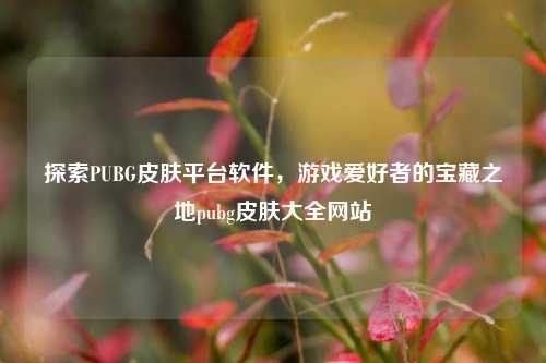 探索PUBG皮肤平台软件，游戏爱好者的宝藏之地pubg皮肤大全网站