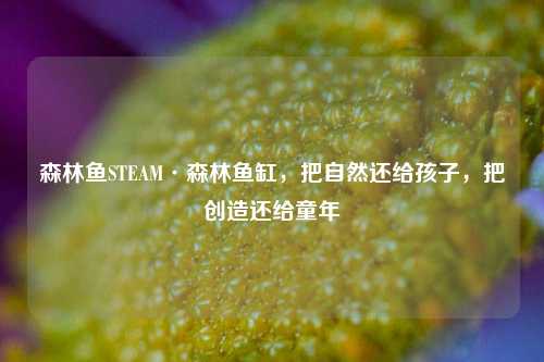 森林鱼STEAM·森林鱼缸，把自然还给孩子，把创造还给童年