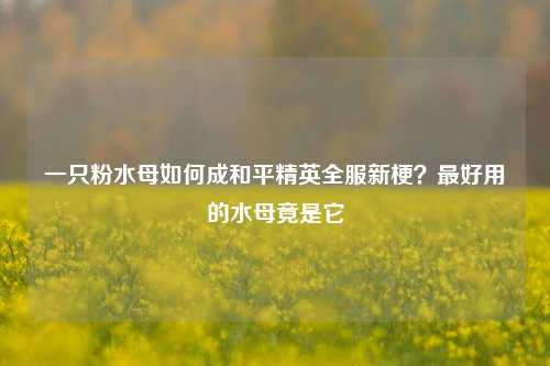 一只粉水母如何成和平精英全服新梗？最好用的水母竟是它