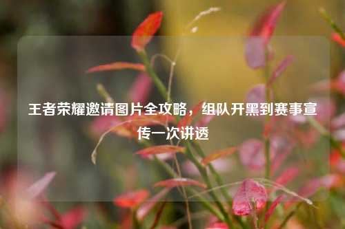 王者荣耀邀请图片全攻略，组队开黑到赛事宣传一次讲透
