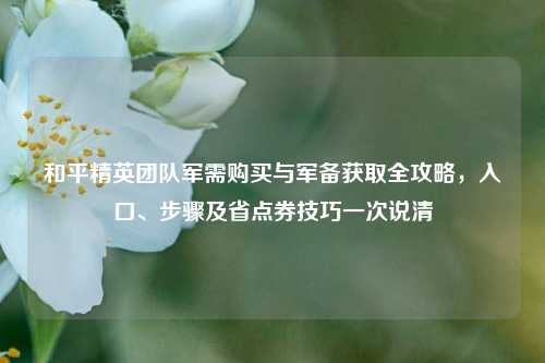 和平精英团队军需购买与军备获取全攻略，入口、步骤及省点券技巧一次说清