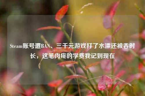 Steam账号遭BAN、三千元游戏打了水漂还被吞时长,这笔肉疼的学费我记到现在