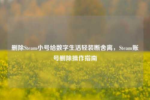 删除Steam小号给数字生活轻装断舍离，Steam账号删除操作指南