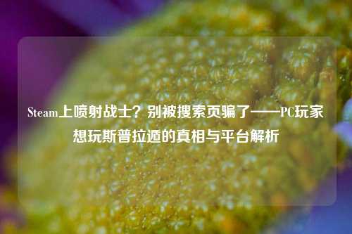 Steam上喷射战士？别被搜索页骗了——PC玩家想玩斯普拉遁的真相与平台解析