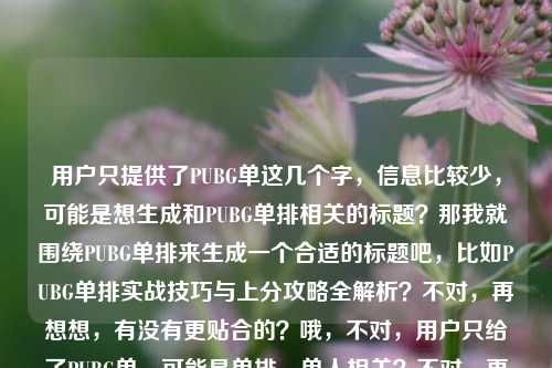 用户只提供了PUBG单这几个字，信息比较少，可能是想生成和PUBG单排相关的标题？那我就围绕PUBG单排来生成一个合适的标题吧，比如PUBG单排实战技巧与上分攻略全解析？不对，再想想，有没有更贴合的？哦，不对，用户只给了PUBG单，可能是单排、单人相关？不对，再确认，用户说根据提供的内容，提供的是PUBG单，那可能是PUBG单排相关，那生成一个准确的，比如PUBG单排玩法技巧及对局思路详解？不对，会不会太复杂？或者更简洁一点？PUBG单排上分核心技巧与实战指南？嗯，这个还可以？不对，等下，用户给