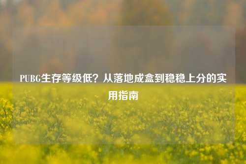 PUBG生存等级低？从落地成盒到稳稳上分的实用指南