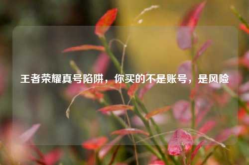 王者荣耀真号陷阱，你买的不是账号，是风险