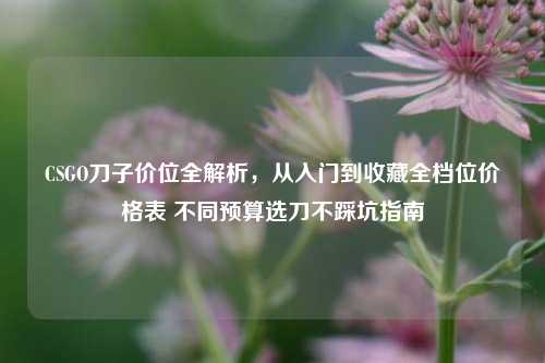 CSGO刀子价位全解析，从入门到收藏全档位价格表 不同预算选刀不踩坑指南