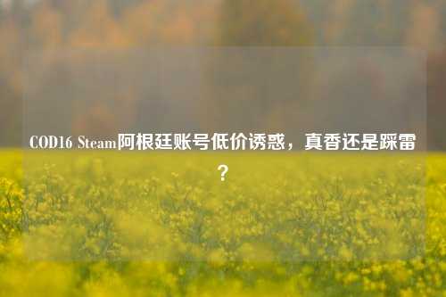 COD16 Steam阿根廷账号低价诱惑，真香还是踩雷？