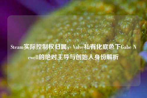 Steam实际控制权归属，Valve私有化底色下Gabe Newell的绝对主导与创始人身份解析