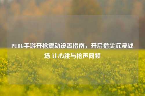 PUBG手游开枪震动设置指南，开启指尖沉浸战场 让心跳与枪声同频