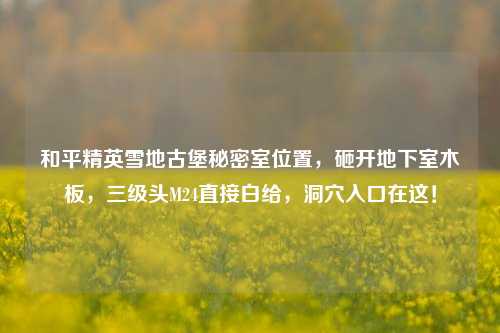 和平精英雪地古堡秘密室位置,砸开地下室木板,三级头M24直接白给,洞穴入口在这!