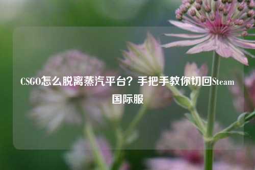CSGO怎么脱离蒸汽平台？手把手教你切回Steam国际服
