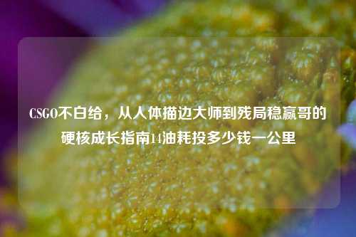 CSGO不白给，从人体描边大师到残局稳赢哥的硬核成长指南14油耗投多少钱一公里