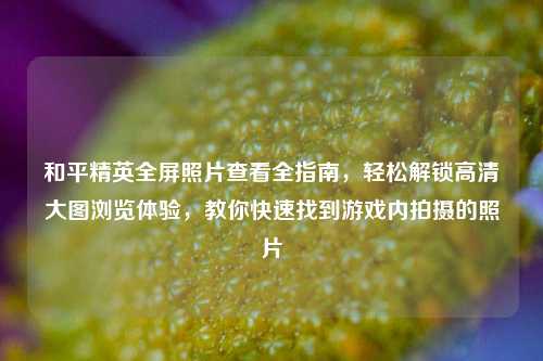和平精英全屏照片查看全指南，轻松解锁高清大图浏览体验，教你快速找到游戏内拍摄的照片