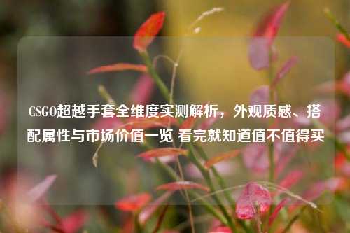 CSGO超越手套全维度实测解析，外观质感、搭配属性与市场价值一览 看完就知道值不值得买