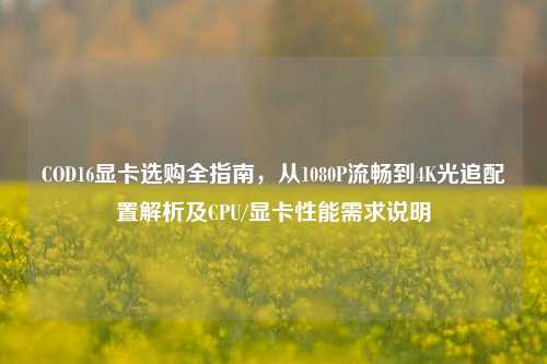COD16显卡选购全指南，从1080P流畅到4K光追配置解析及CPU/显卡性能需求说明