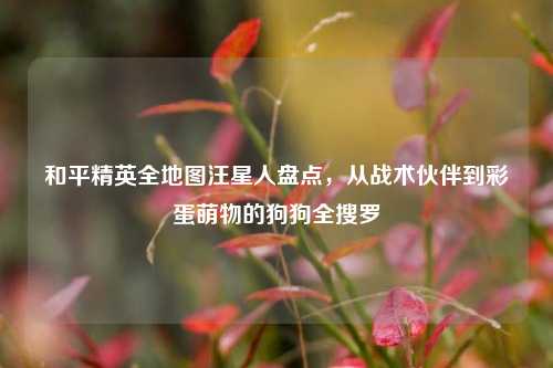 和平精英全地图汪星人盘点，从战术伙伴到彩蛋萌物的狗狗全搜罗