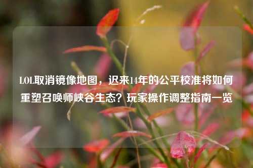 LOL取消镜像地图，迟来14年的公平校准将如何重塑召唤师峡谷生态？玩家操作调整指南一览