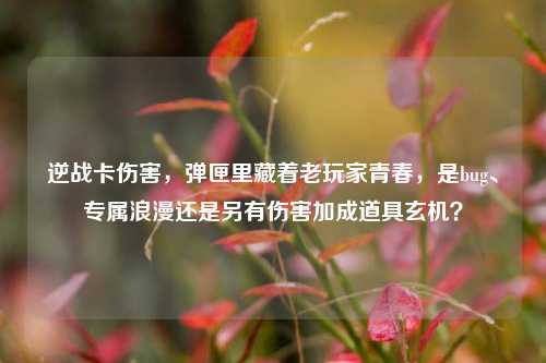 逆战卡伤害,弹匣里藏着老玩家青春,是bug、专属浪漫还是另有伤害加成道具玄机?