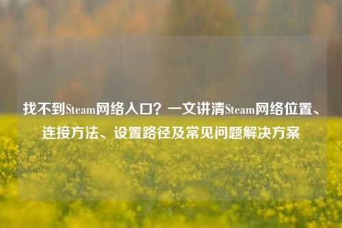 找不到Steam网络入口？一文讲清Steam网络位置、连接方法、设置路径及常见问题解决方案
