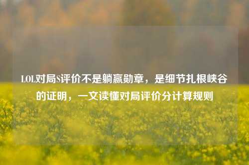 LOL对局S评价不是躺赢勋章，是细节扎根峡谷的证明，一文读懂对局评价分计算规则