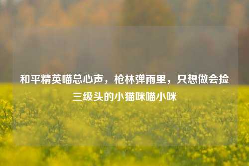 和平精英喵总心声,枪林弹雨里,只想做会捡三级头的小猫咪喵小咪