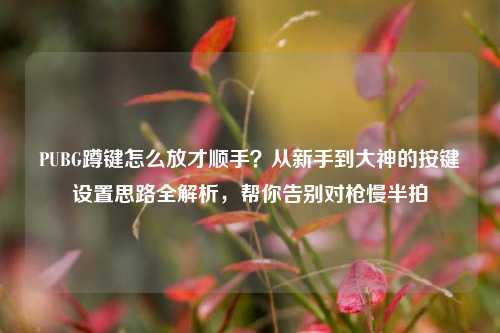 PUBG蹲键怎么放才顺手?从新手到大神的按键设置思路全解析,帮你告别对枪慢半拍