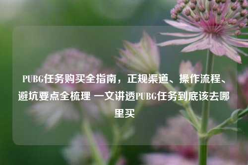 PUBG任务购买全指南，正规渠道、操作流程、避坑要点全梳理 一文讲透PUBG任务到底该去哪里买