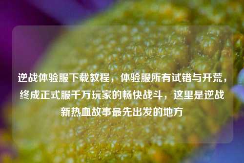 逆战体验服下载教程，体验服所有试错与开荒，终成正式服千万玩家的畅快战斗，这里是逆战新热血故事最先出发的地方