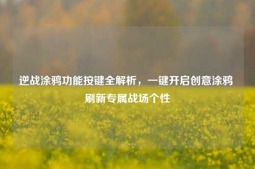逆战涂鸦功能按键全解析,一键开启创意涂鸦 刷新专属战场个性