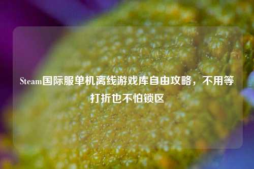 Steam国际服单机离线游戏库自由攻略，不用等打折也不怕锁区
