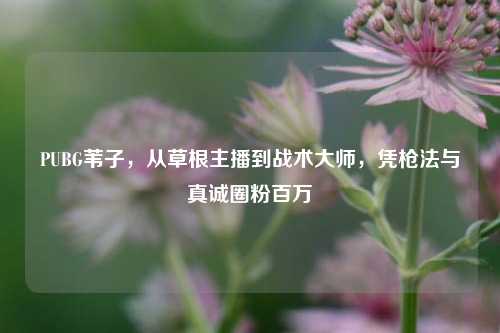 PUBG苇子,从草根主播到战术大师,凭枪法与真诚圈粉百万