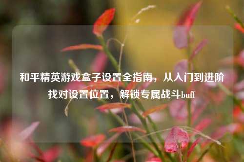 和平精英游戏盒子设置全指南，从入门到进阶找对设置位置，解锁专属战斗buff