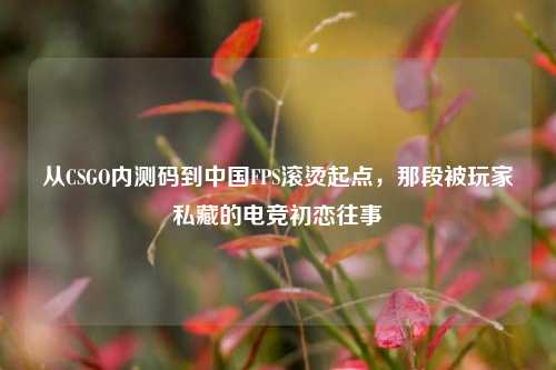 从CSGO内测码到中国FPS滚烫起点，那段被玩家私藏的电竞初恋往事