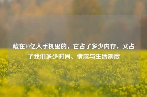 藏在10亿人手机里的，它占了多少内存，又占了我们多少时间、情感与生活刻度