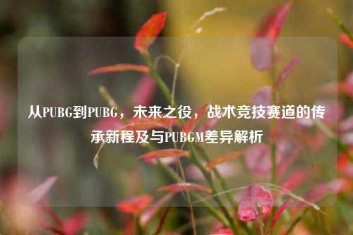 从PUBG到PUBG，未来之役，战术竞技赛道的传承新程及与PUBGM差异解析