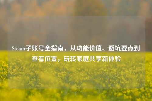 Steam子账号全指南,从功能价值、避坑要点到查看位置,玩转家庭共享新体验