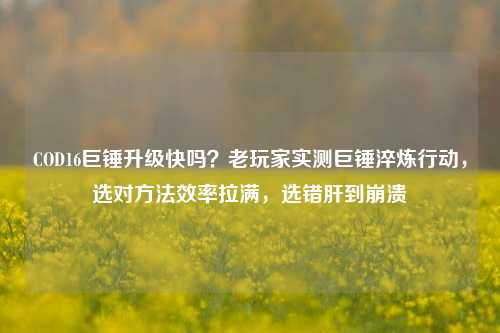 COD16巨锤升级快吗？老玩家实测巨锤淬炼行动，选对方法效率拉满，选错肝到崩溃