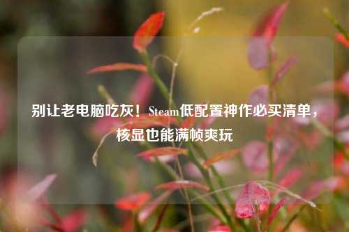 别让老电脑吃灰！Steam低配置神作必买清单，核显也能满帧爽玩