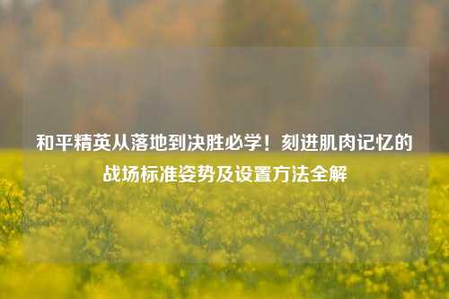 和平精英从落地到决胜必学！刻进肌肉记忆的战场标准姿势及设置方法全解
