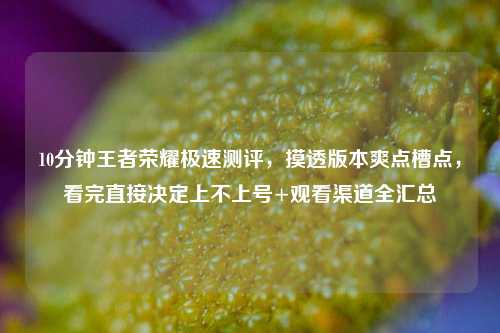 10分钟王者荣耀极速测评，摸透版本爽点槽点，看完直接决定上不上号+观看渠道全汇总