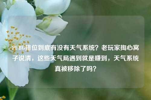 PUBG排位到底有没有天气系统？老玩家掏心窝子说清，这些天气局遇到就是赚到，天气系统真被移除了吗？