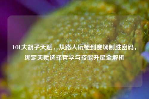 LOL大胡子天赋，从路人玩梗到赛场制胜密码，绑定天赋选择哲学与技能升星全解析